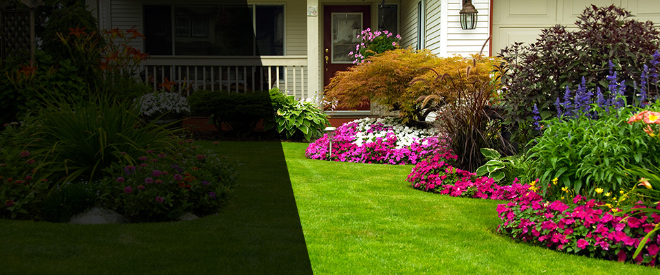 Valley Center Landscapers
