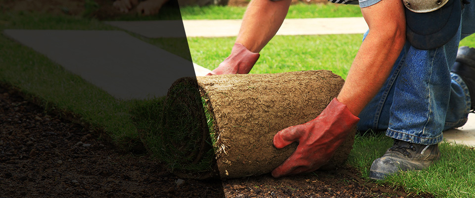 Valley Center Landscapers